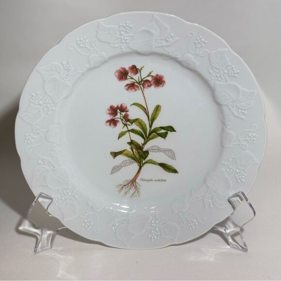 Vintage Dansk Ivy Chimapila Umbellata  9 3/4 " Luncheon Plate - Picture 3 of 5